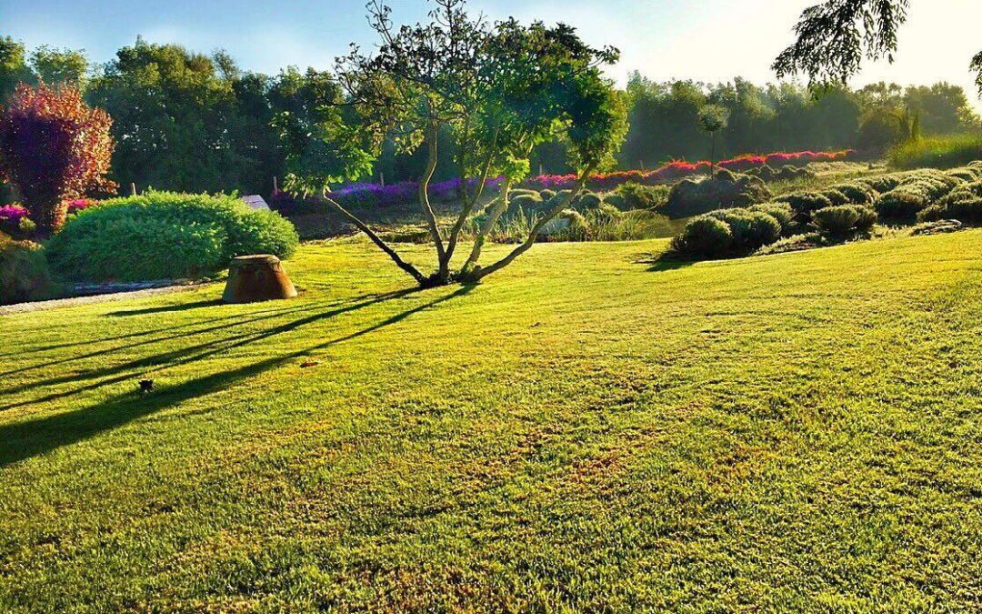 Recuperación paisajística de un espacio industrial en Sevilla, 2013