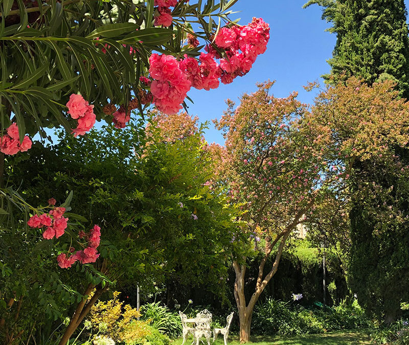 Los beneficios de integrar vegetación en espacios interiores y exteriores 