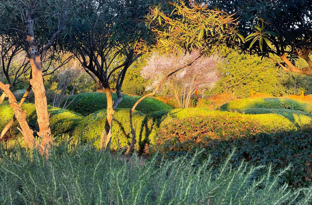 Restauración entrada a una instalación industrial