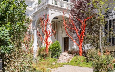 Paisajismo sensorial: cómo estimular los cinco sentidos en tu jardín