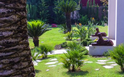 Errores comunes en el paisajismo y cómo evitarlos en tu jardín