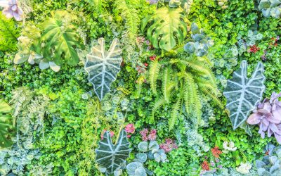 Jardines verticales: ¿merece la pena integrarlos en tu hogar?